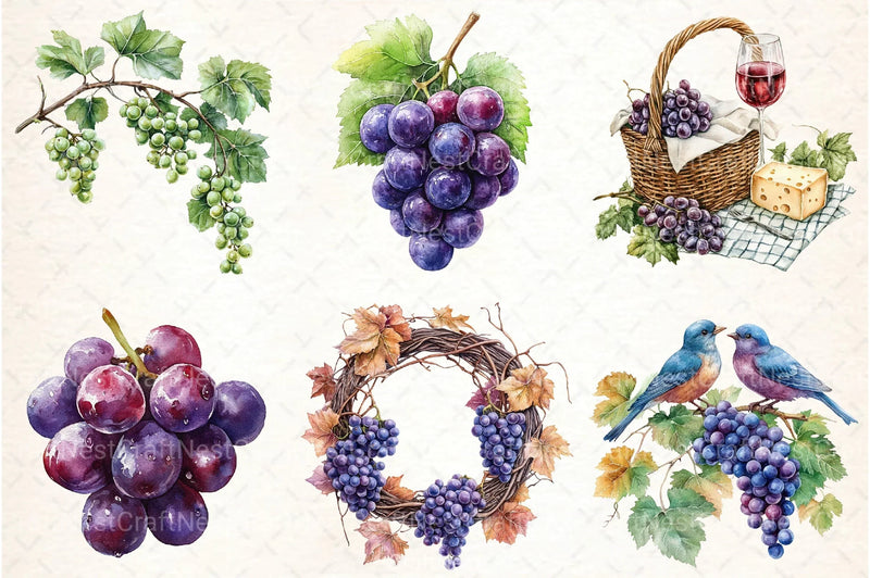 Grape Clipart Bundle 8 - CraftNest - Digital Crafting and Art