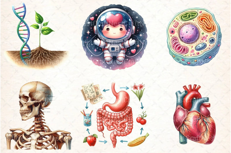 Biology Clipart Bundle for Educational Use - CraftNest - Digital Crafting and Art
