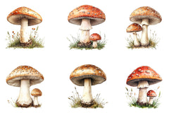Summer Mushroom Clipart Bundle - CraftNest - Digital Crafting and Art