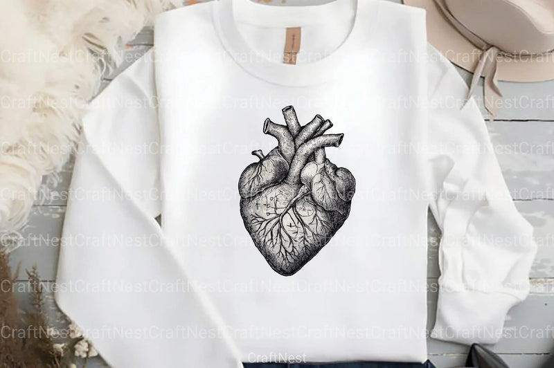 Antique Anatomy Overlays Clipart Bundle - CraftNest - Digital Crafting and Art