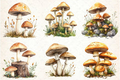 Mushroom Clipart Bundle - CraftNest - Digital Crafting and Art