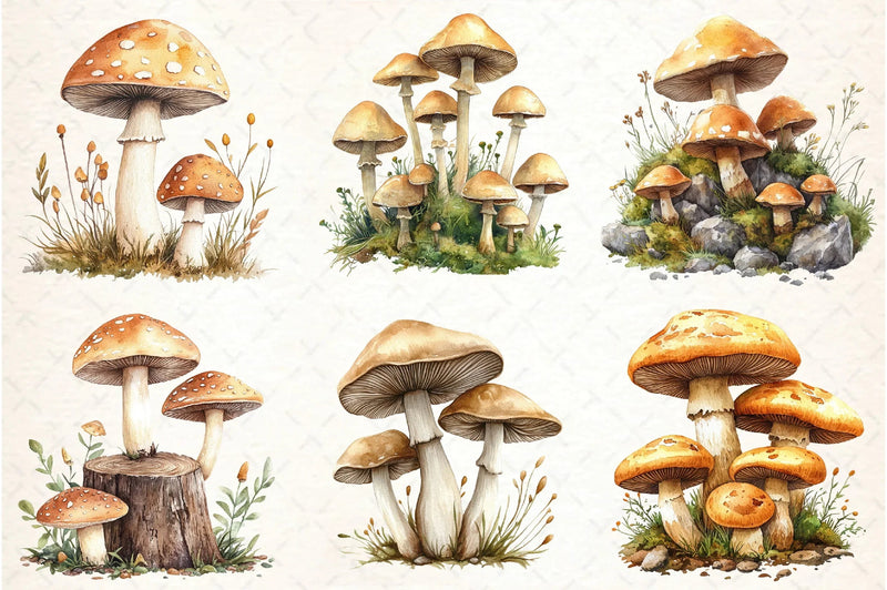 Mushroom Clipart Bundle - CraftNest - Digital Crafting and Art