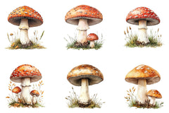 Summer Mushroom Clipart Bundle - CraftNest - Digital Crafting and Art
