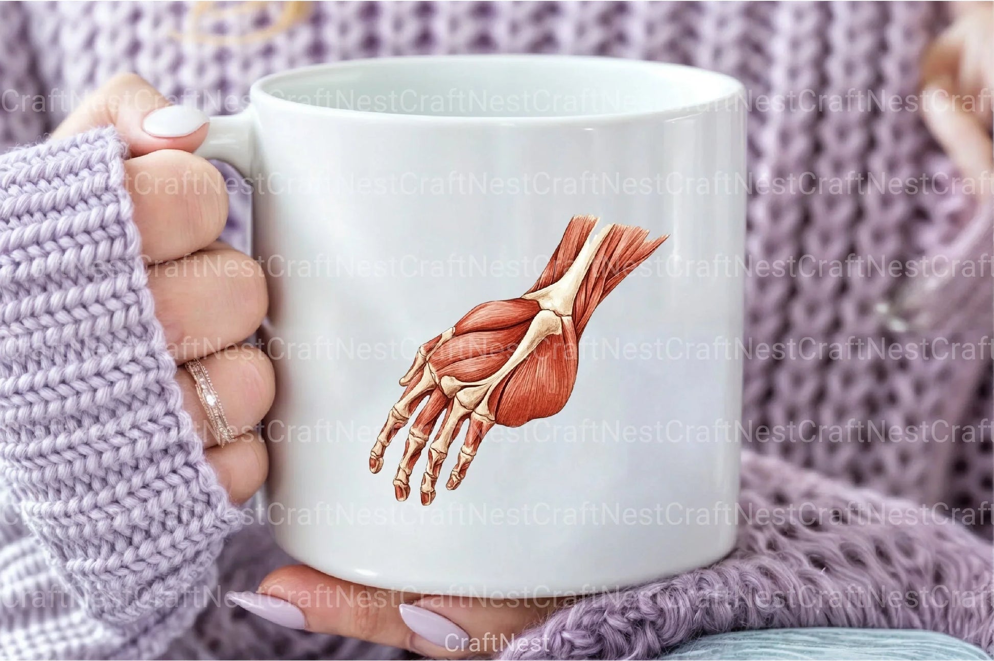 Antique Anatomy Overlays Clipart Bundle - CraftNest - Digital Crafting and Art