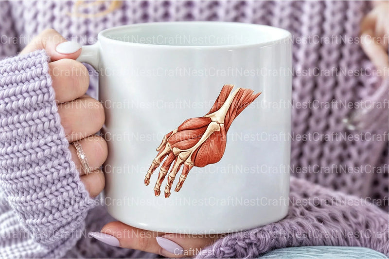 Antique Anatomy Overlays Clipart Bundle - CraftNest - Digital Crafting and Art