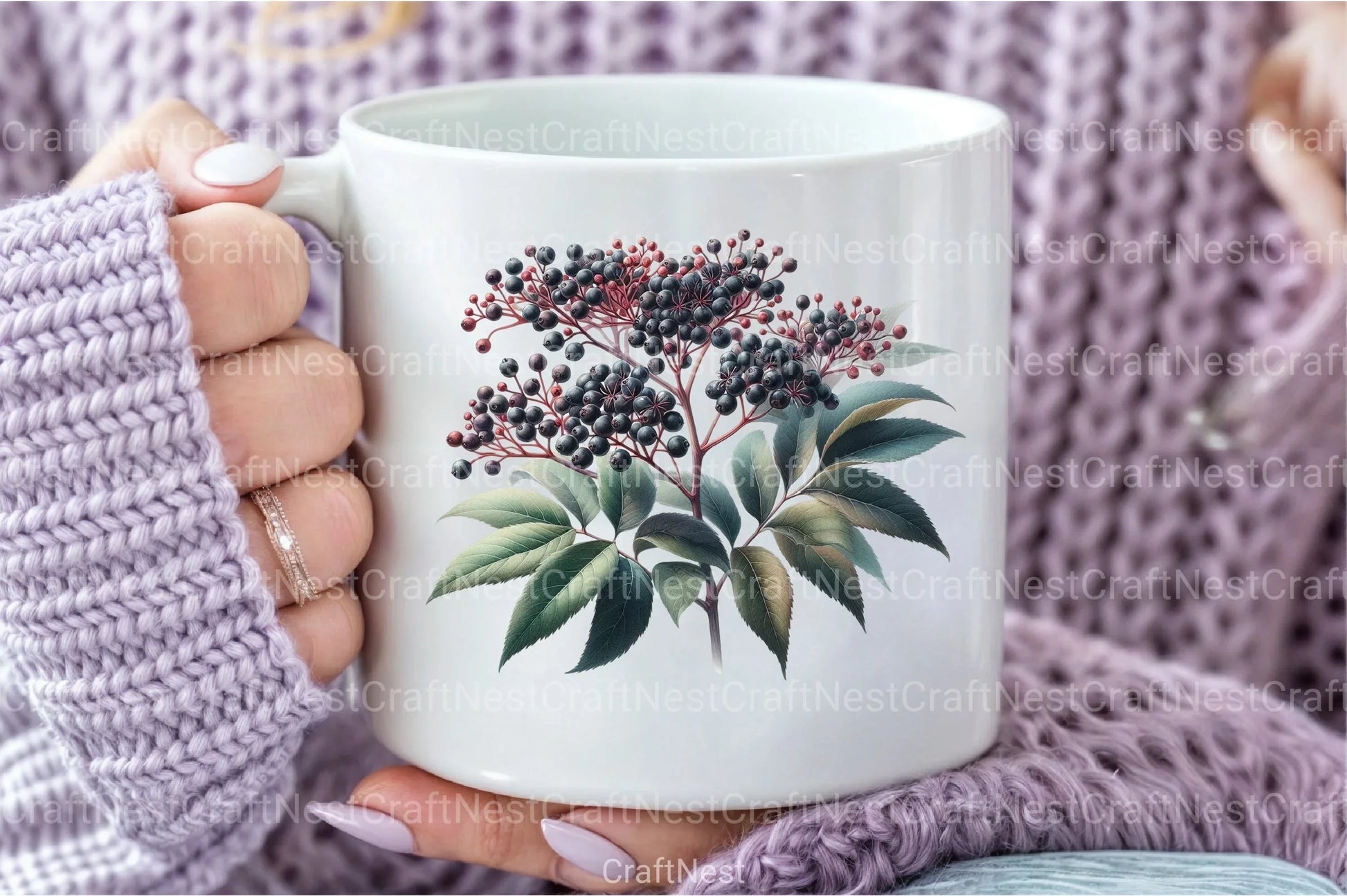 Medicinal Plants Clipart Bundle 1 - CraftNest - Digital Crafting and Art