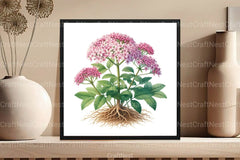 Medicinal Plants Clipart Bundle 1 - CraftNest - Digital Crafting and Art