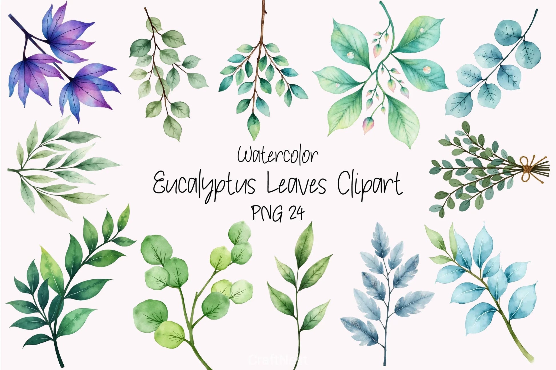Eucalyptus Leaves Clipart Bundle - CraftNest - Digital Crafting and Art