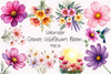 Cosmos Wildflowers Clipart Bundle
