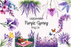Purple Spring Clipart Bundle