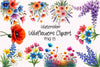 Wildflowers Clipart Bundle