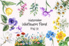 Wildflowers Floral Clipart Bundle