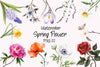 Spring Flower Clipart Bundle