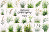 Grass Spring Clipart Bundle