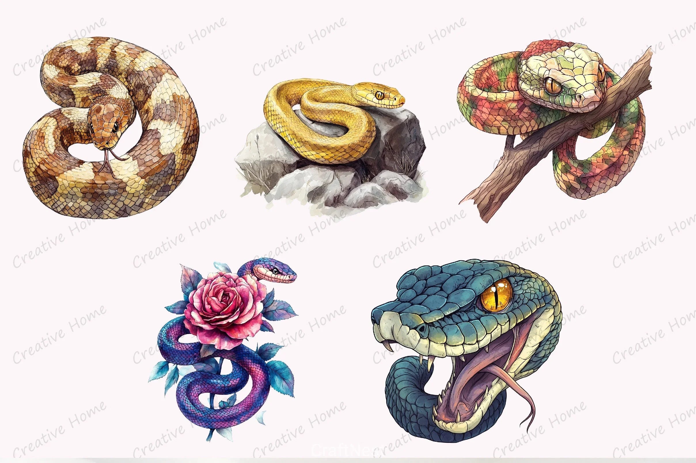 Adder Snake Clipart Bundle - CraftNest - Digital Crafting and Art