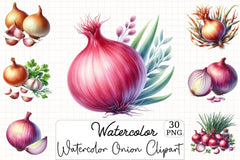 Onion Clipart Bundle 3 - CraftNest - Digital Crafting and Art
