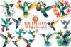 Cute Dabbing Hummingbird Clipart Bundle