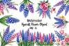Hyacinth Flower Clipart Bundle