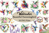 Beautiful Hummingbird Clipart Bundle