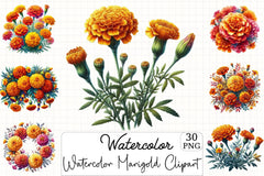 Marigold Clipart Bundle - CraftNest - Digital Crafting and Art