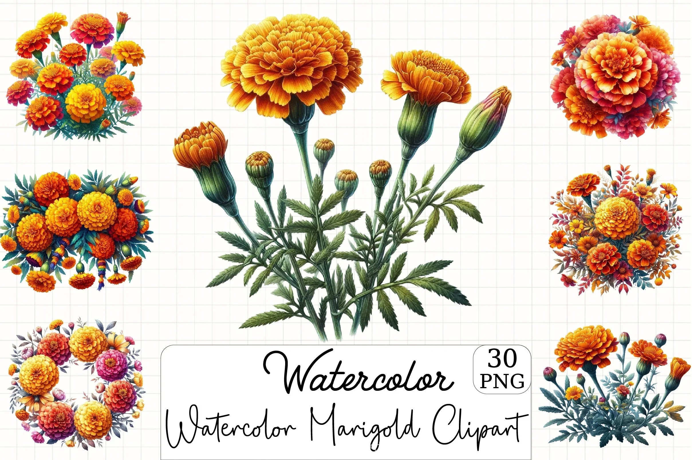 Marigold Clipart Bundle - CraftNest - Digital Crafting and Art