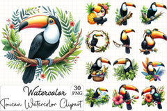 Toucan Clipart Bundle - CraftNest - Digital Crafting and Art