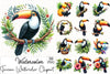 Toucan Clipart Bundle