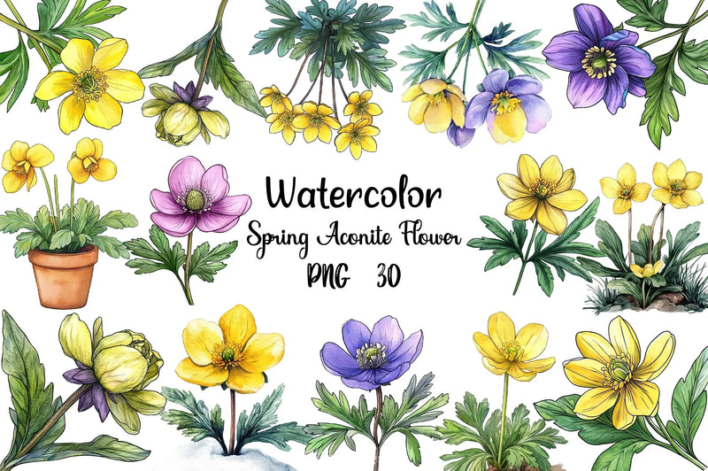 Spring Winter Aconite Flower Clipart Bundle - CraftNest - Digital Crafting and Art