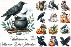 Halloween Birds Clipart Bundle - CraftNest - Digital Crafting and Art