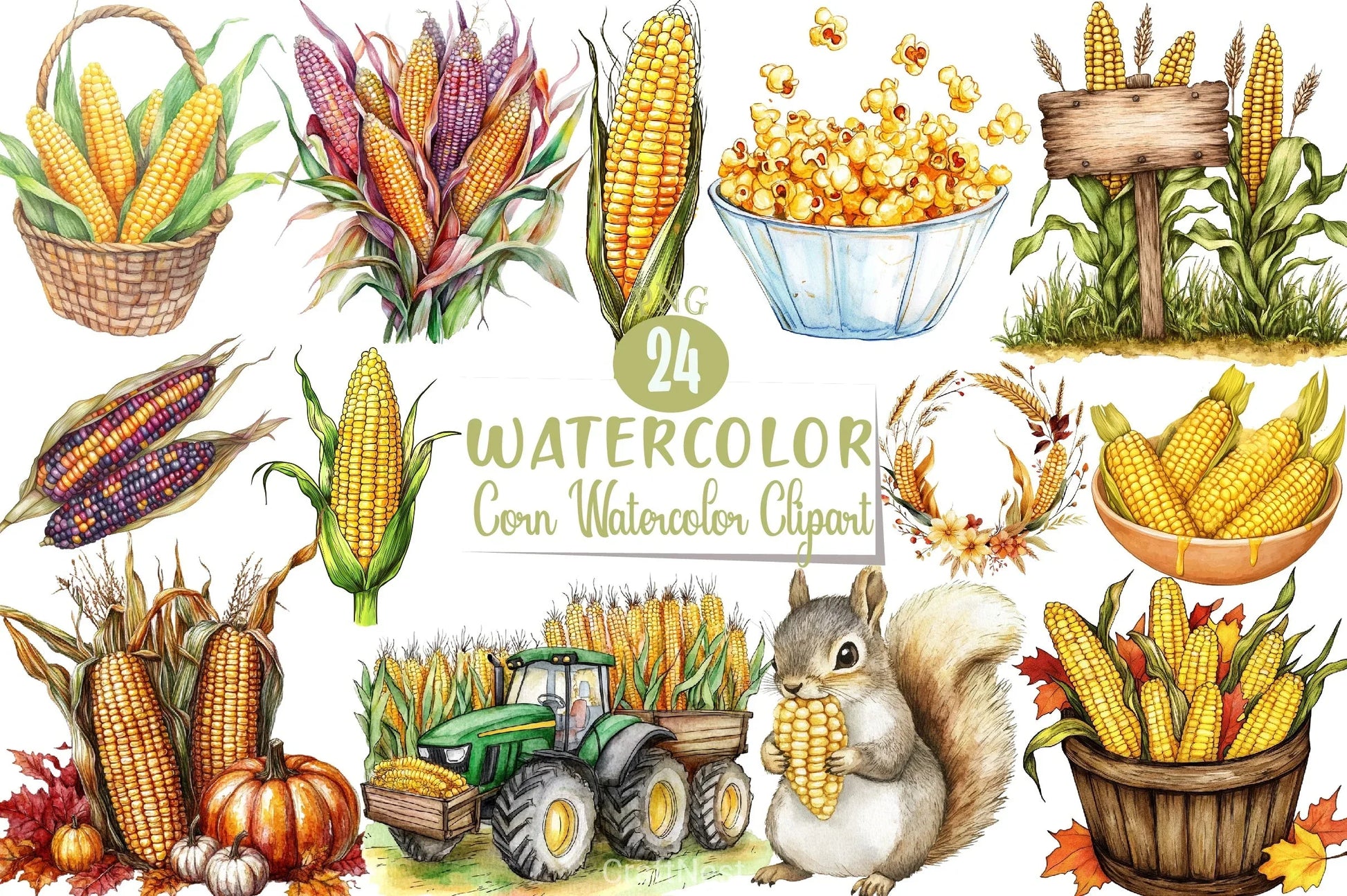 Corn Clipart Bundle - CraftNest - Digital Crafting and Art