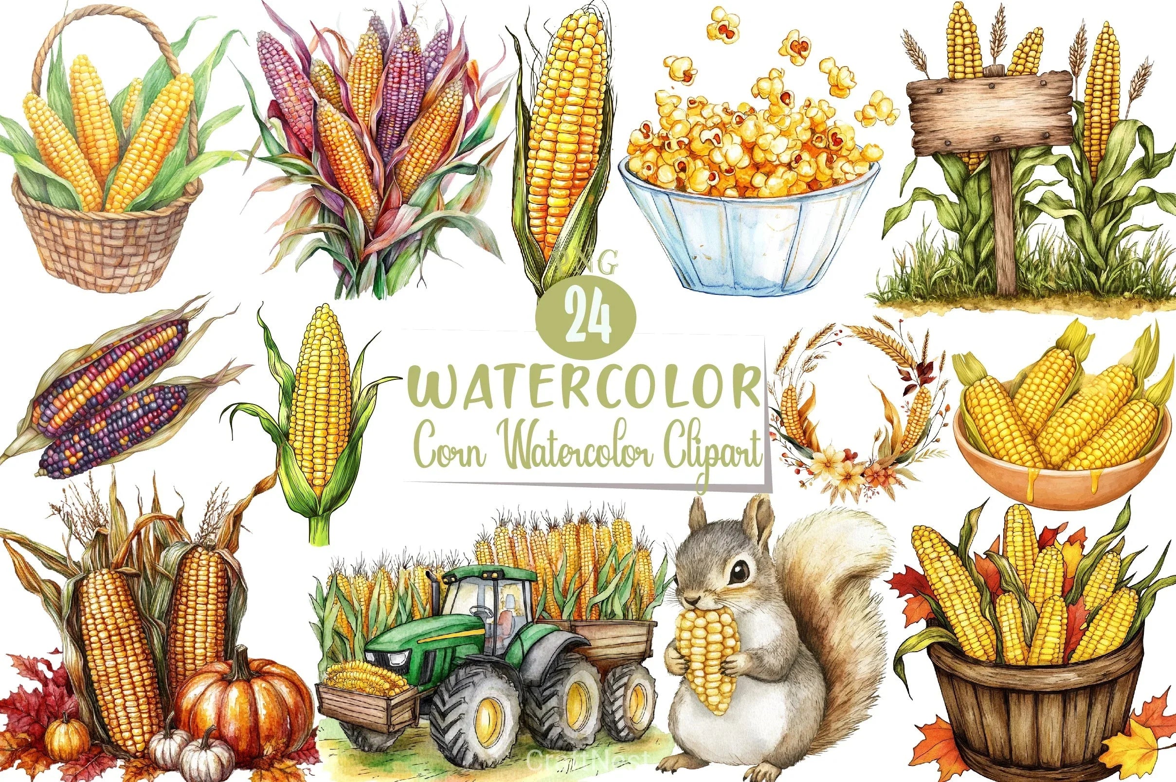 Corn Clipart Bundle - CraftNest - Digital Crafting and Art