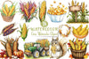 Corn Clipart Bundle