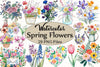 Spring Flowers Clipart Bundle