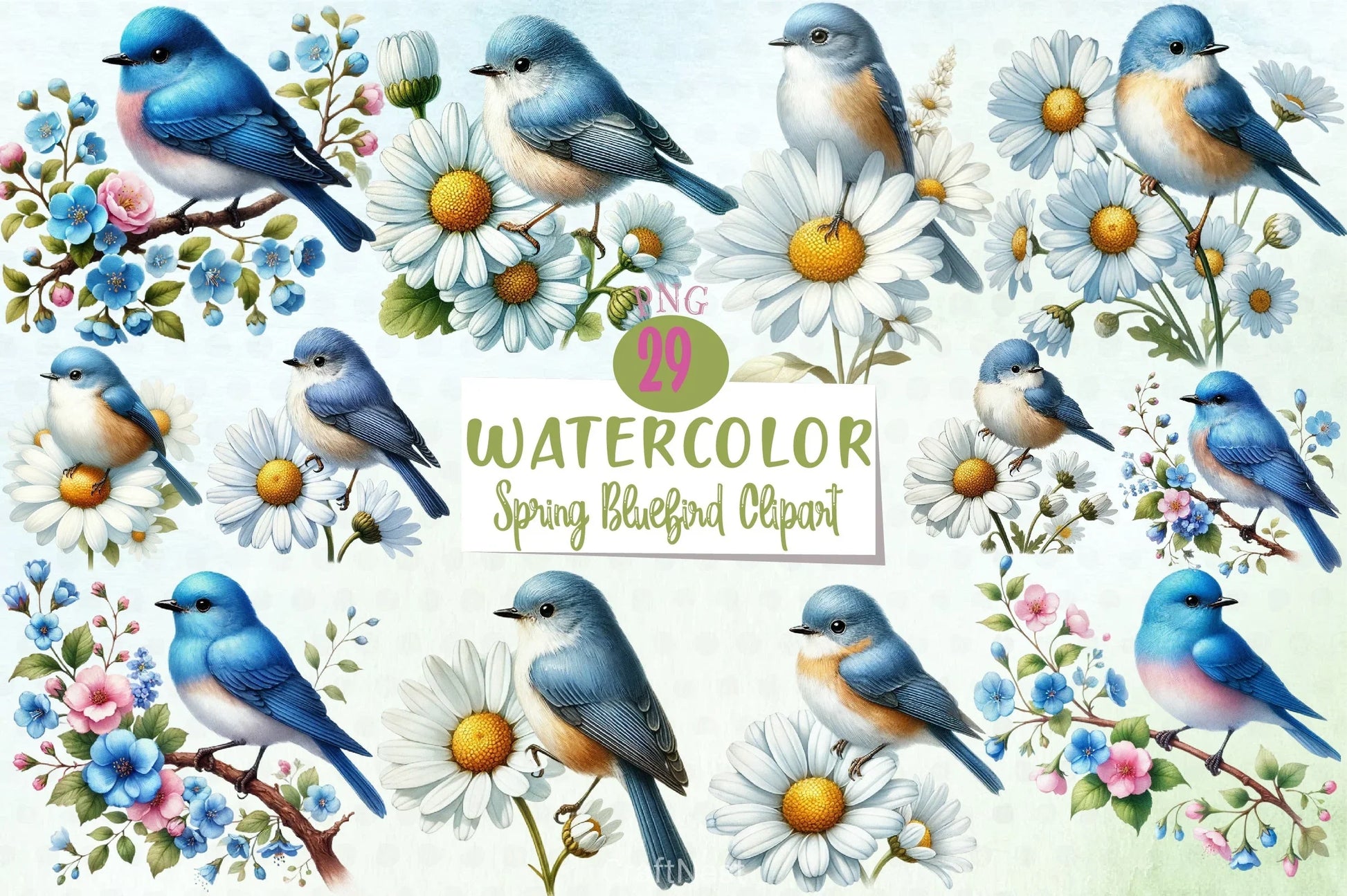Spring Bluebird Clipart Bundle - CraftNest - Digital Crafting and Art