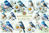 Spring Bluebird Clipart Bundle