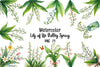 Lily Of The Valley Clipart Bundle