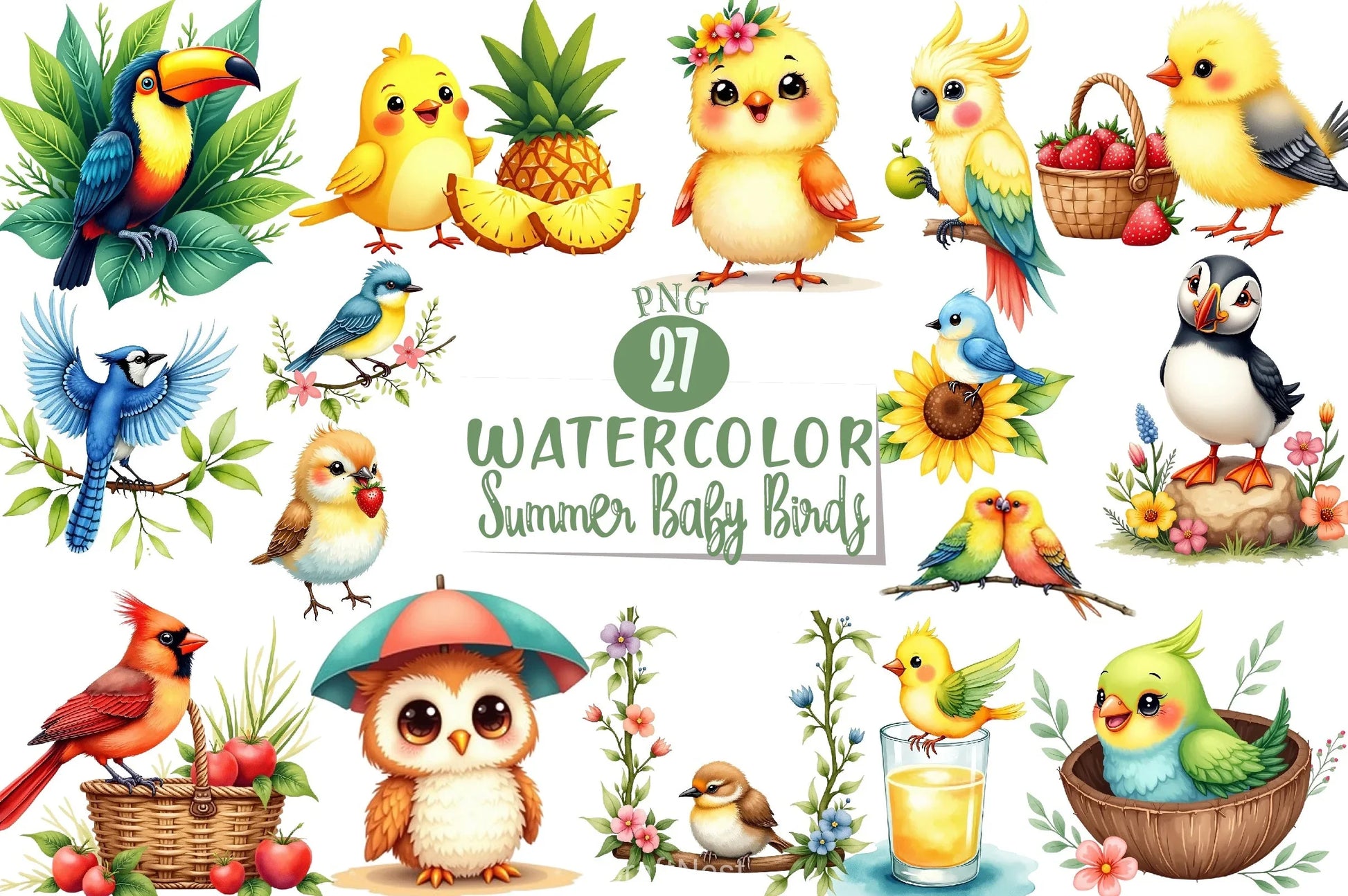 Summer Baby Birds Clipart Bundle - CraftNest - Digital Crafting and Art
