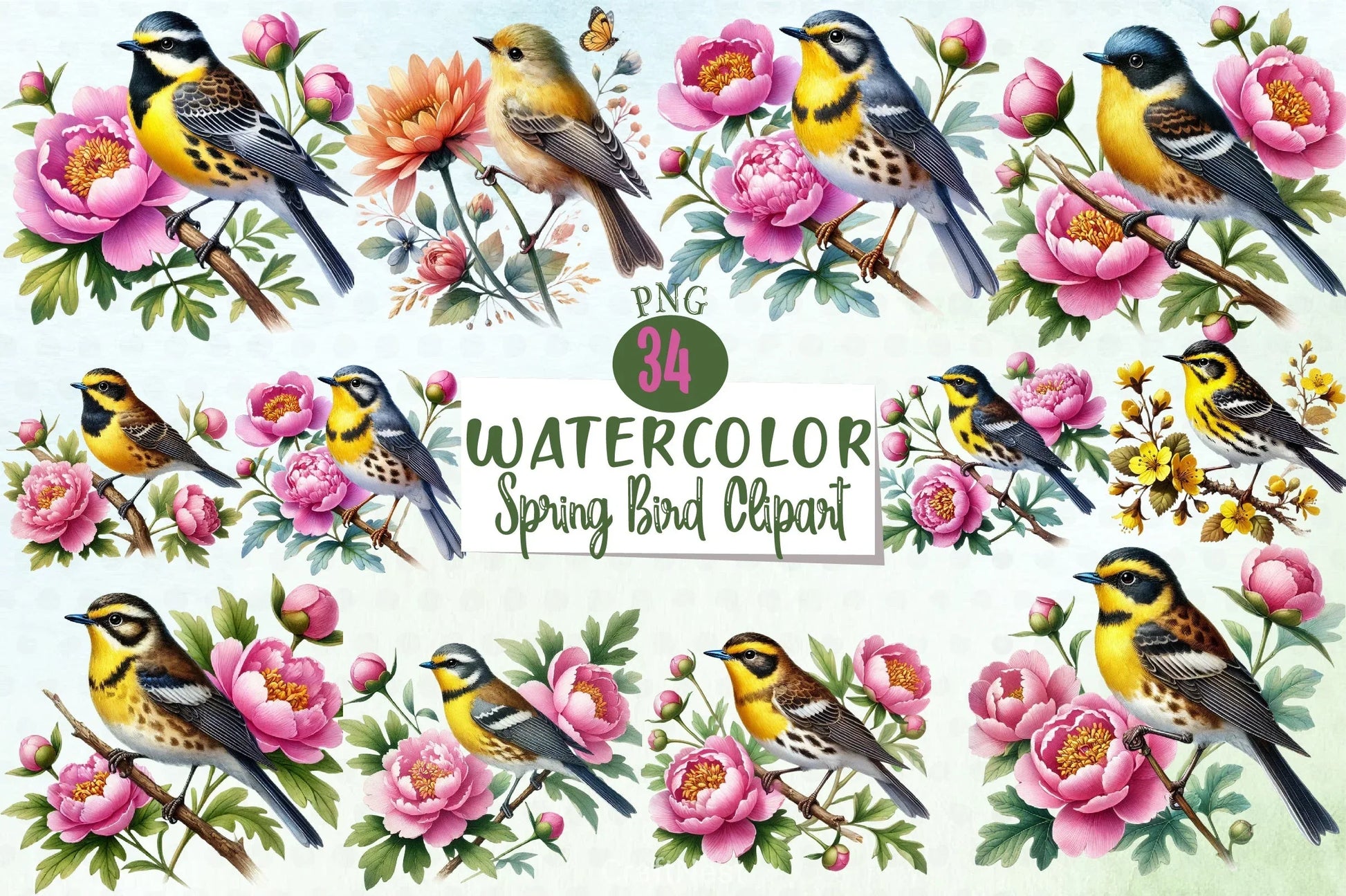 Spring Bird Clipart Bundle - CraftNest - Digital Crafting and Art