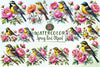 Spring Bird Clipart Bundle