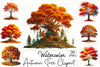 Autumn Tree Clipart Bundle