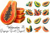Papaya Fruit Clipart Bundle