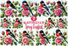 Spring Grosbeak Clipart Bundle