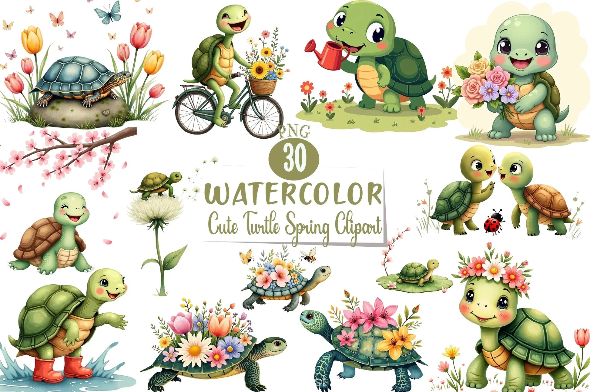 Cute Turtle Clipart Bundle - CraftNest - Digital Crafting and Art