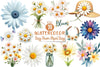 Daisy Flower Clipart Bundle