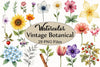 Vintage Botanical Clipart Bundle