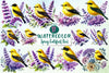 Spring Goldfinch Clipart Bundle