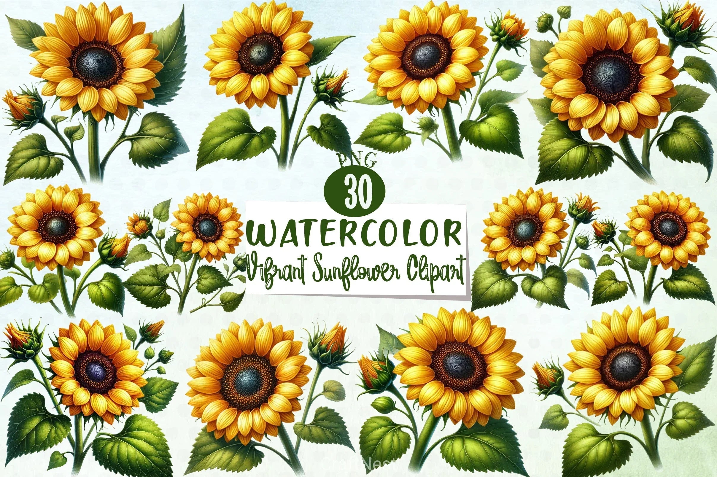 Vibrant Sunflower Clipart Bundle - CraftNest - Digital Crafting and Art