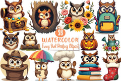 Funny Owl Peeking Clipart Bundle - CraftNest - Digital Crafting and Art