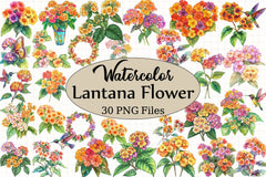 Lantana Flower Clipart Bundle - CraftNest - Digital Crafting and Art