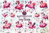 Funny Flamingo Clipart Bundle